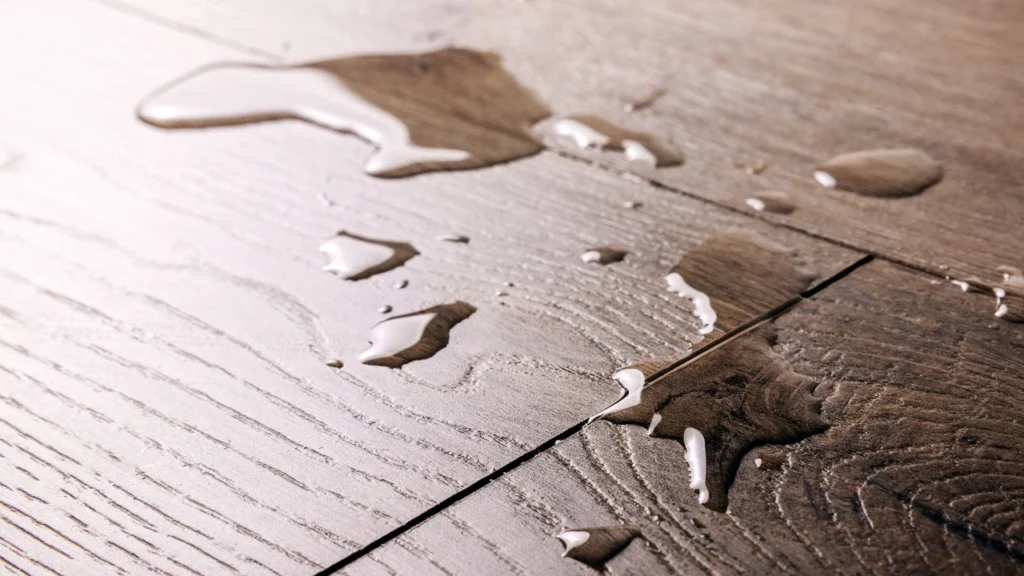 Top 5 Reasons to Choose Waterproof Plywood for Your Home